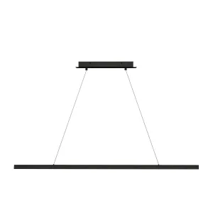 Dessau 48 Linear Suspension