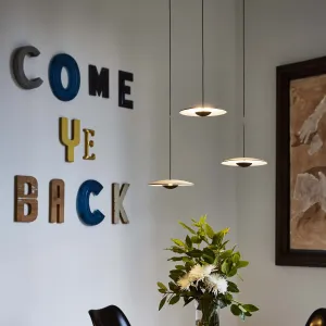 Ginger LED Cluster Pendant Light