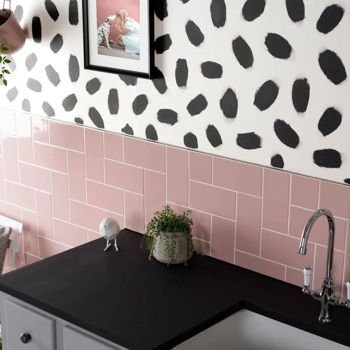 Liso Rosa Gloss 100x200
