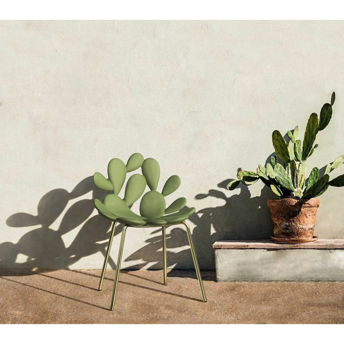 Qeeboo Filicudi Chair Filicudi Armchair By Marcantonio Set Of 2, Balm Green/Brass