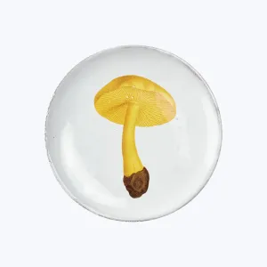 Soufre Saucer